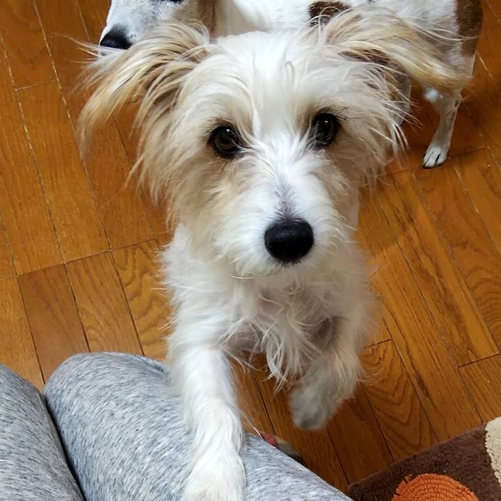 Fe4e1071 9634 4cfc a400 bca2ca100a4e 1673251628263