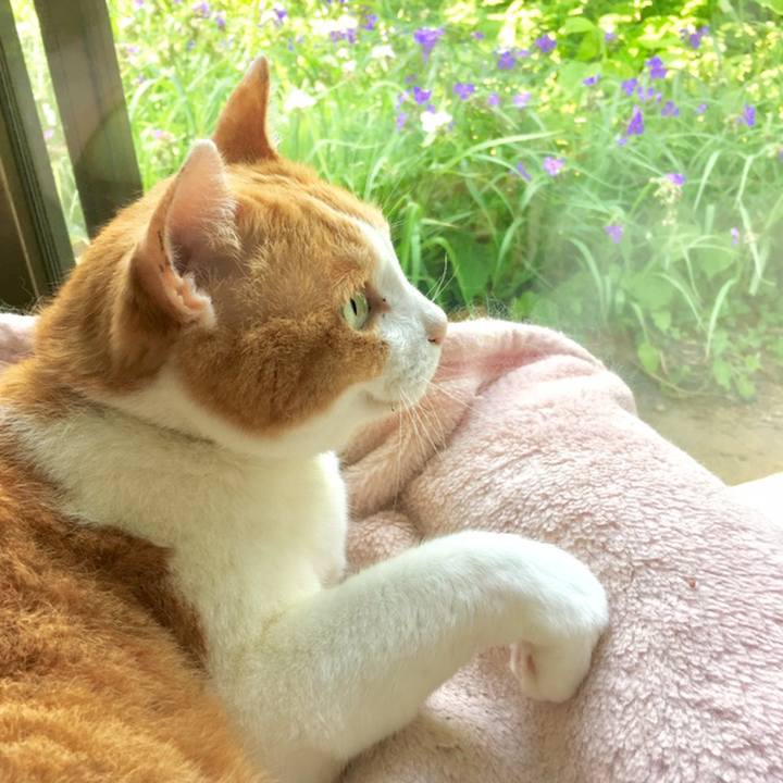 Fe4e3daf 42e0 4232 8903 75a36cb68d4e 1559530188484