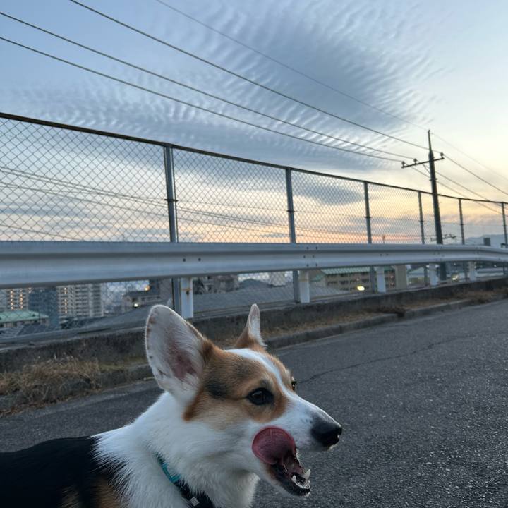 Fe4e567a 73e1 4b26 8134 859eb67201d5 1770369257835