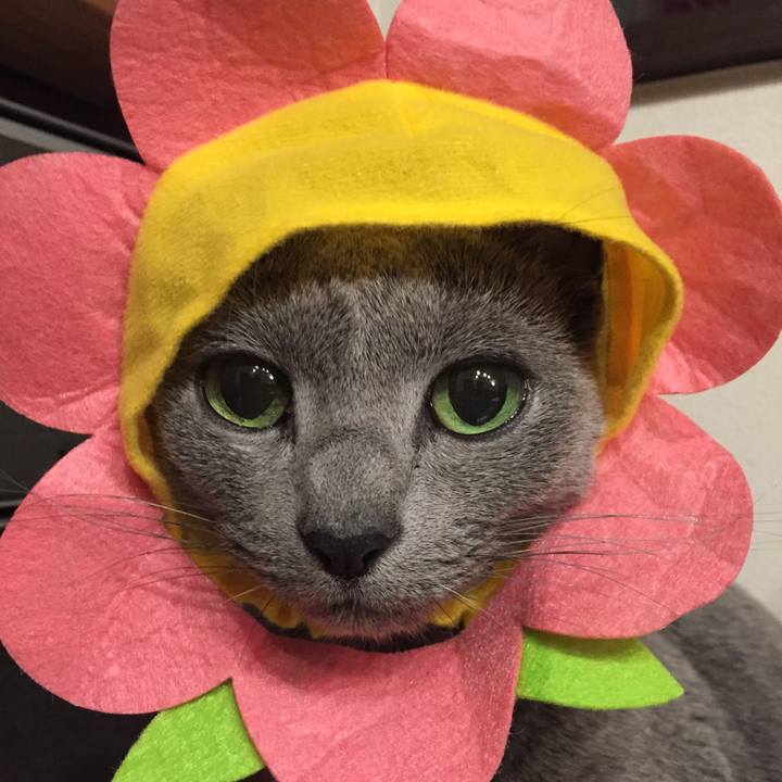 Fe4e600a 1616 4770 9512 42b3e99ae161 1515068682444