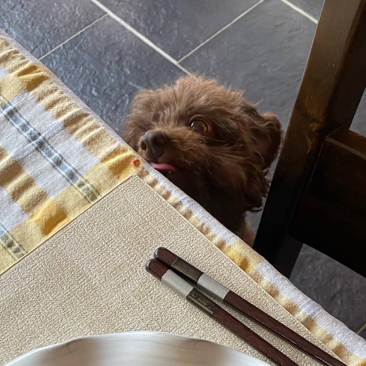 Fe4ea5e8 ab81 48cc 809b dfd7aab80b58 1659256739412