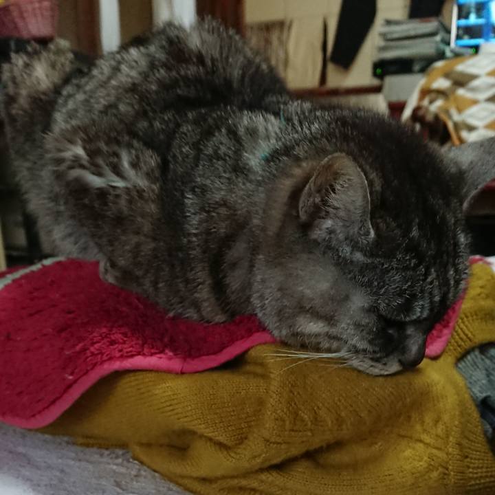 Fe4ee0fe 9011 4766 863c b43ea1bec85c 1551498089728