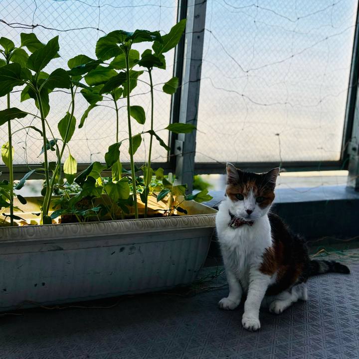 Fe4ef308 6647 486f aca9 a342ec078d2e 1717020312810