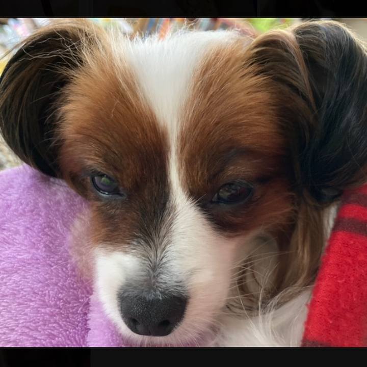 Fe4f0d4d d47b 48b0 be03 0baa2ac4d3ee 1636593041375