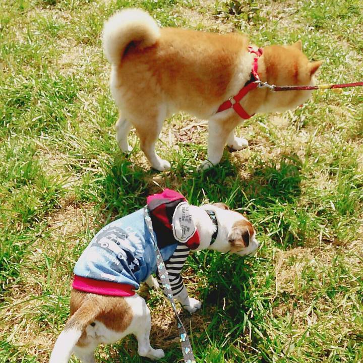 Fe4f76c0 c54e 4562 95e6 85c3fdbe6661 1520142800292