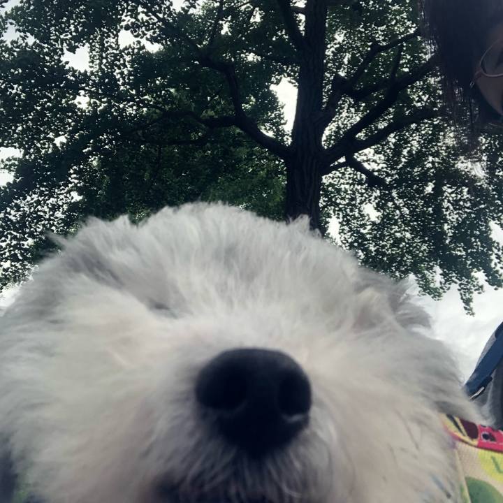 Fe4f79d7 bf99 49fe 8973 86f4b9b05562 1657152636267