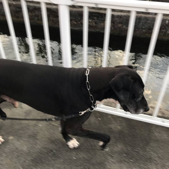 Fe4f7a22 e39c 407b b049 b5ee5a71dba3 1544322736529