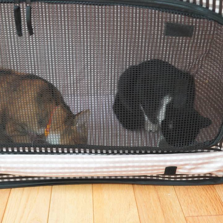 Fe4f8c0a c39b 458e a82b e0c7679af559 1593661989405