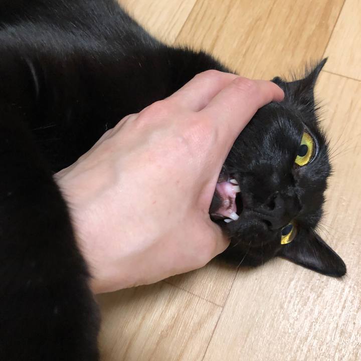 Fe4fae8e d30f 4cd7 8648 40fd96be0d01 1535501196783