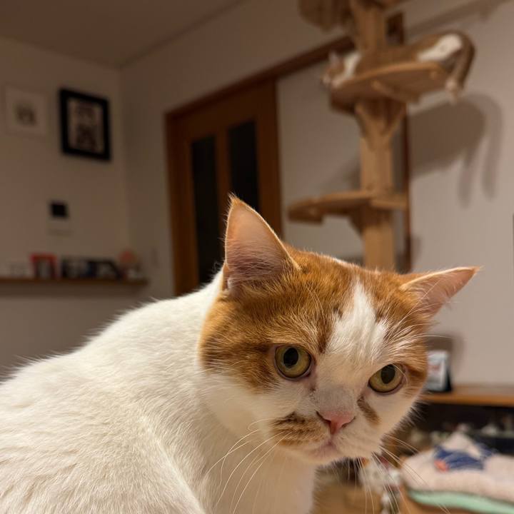 Fe4fde66 5be9 45f1 b8a3 0774090b8797 1763467844619