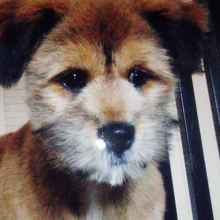 Fe4fe321 a741 42ff a548 b3e7e6db1a98 1642824394756