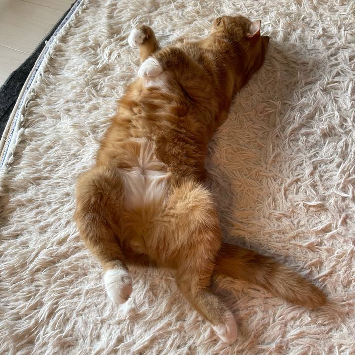 Fe4fedf8 4f54 4dfa bc36 b6a243b39915 1654927373995