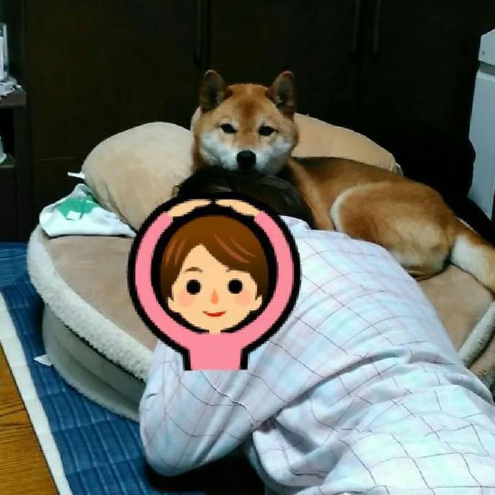 Fe4ff139 c0de 4468 8a78 47c0f0428fc0 1562651040447