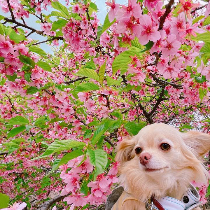 Fe500a88 8558 47fb bf5a 0bb9f764e441 1647694457939