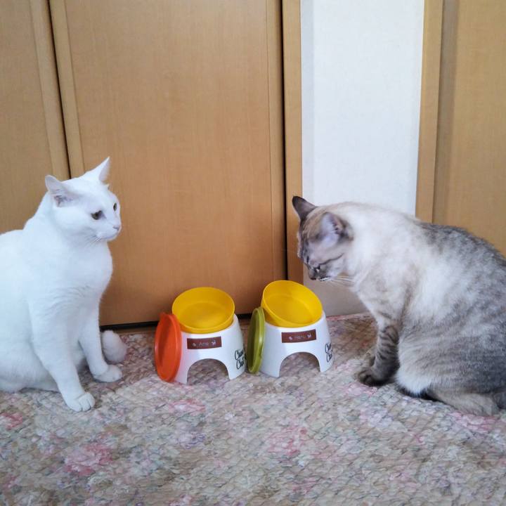 Fe500d46 c365 4bd8 868c d658be727e97 1539330267023