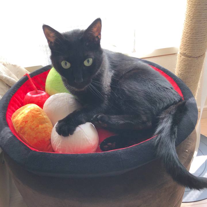 Fe5016cf 863d 4a74 a177 9de787563947 1590795650906