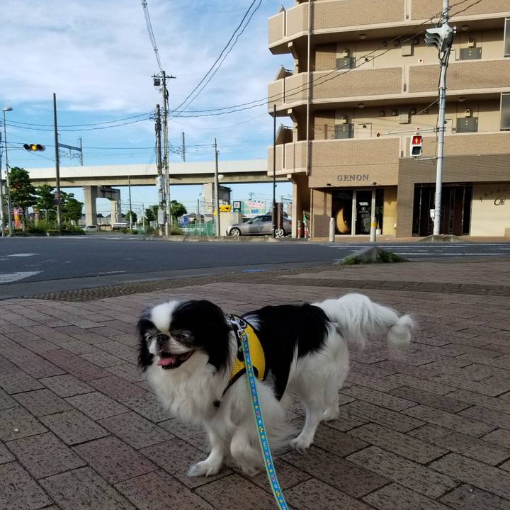 Fe503321 8b75 4c3c a103 157fb4bce6be 1530345122941