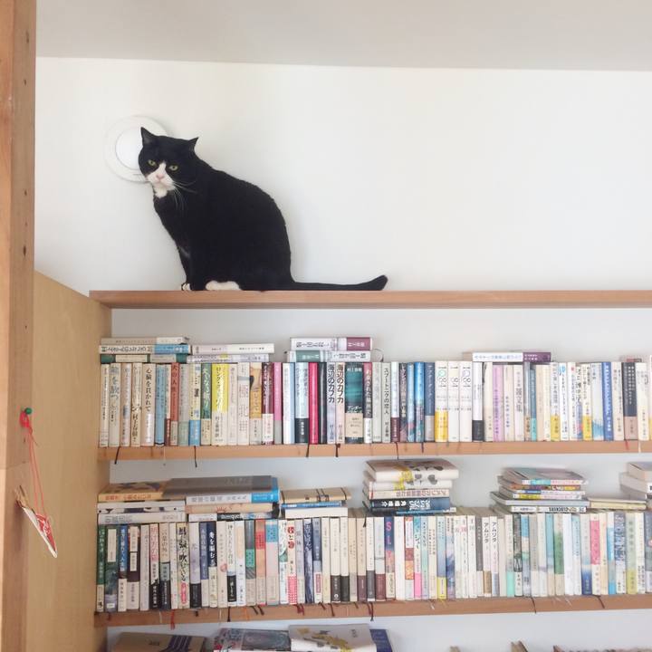 Fe503f18 7003 4c39 bbbf acc6ca886134 1516666551092