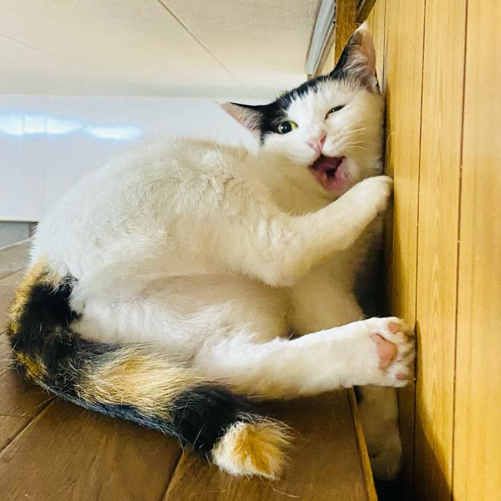 Fe505c24 1479 49cc 97b2 4d4048c908f5 1657800660009