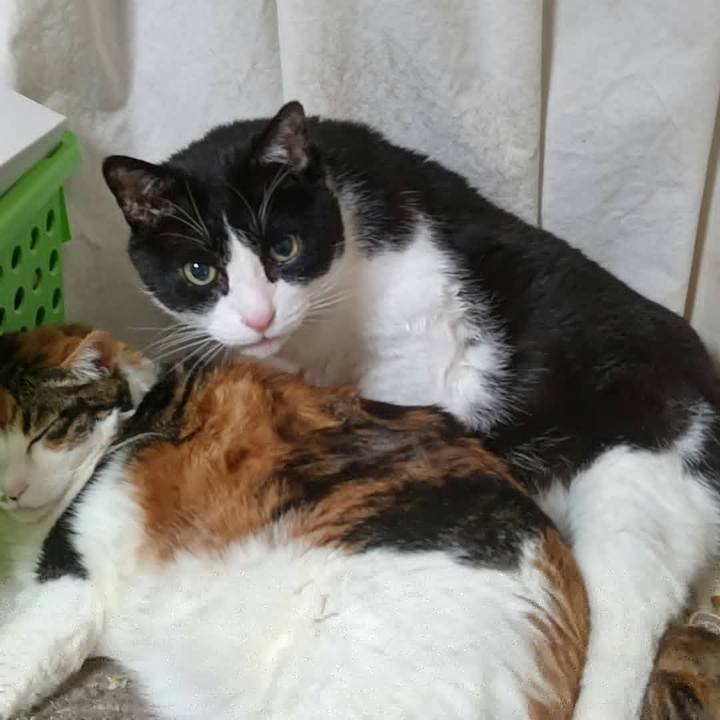 Fe50a830 7f8a 4793 84d4 c1262be08976 1610959807074