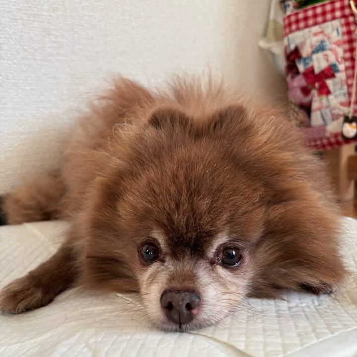 Fe50a945 871b 4e7e a2e4 844de36dc8ae 1762813448010