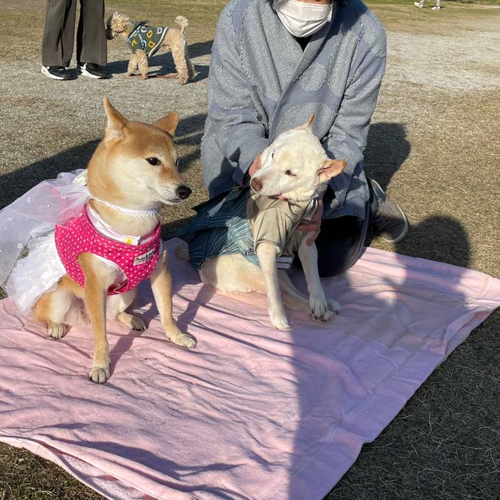 Fe50c3b1 8055 4994 8414 719f77b1fe69 1677835005353