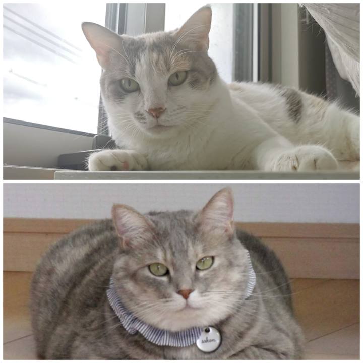 Fe50d98d 2759 4057 824f 3f0707066002 1663132611459