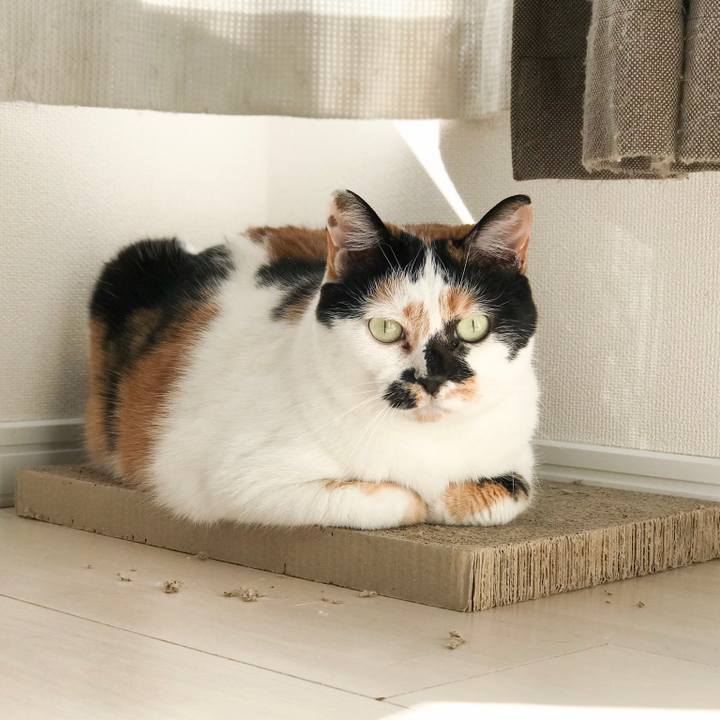 Fe511362 aa7e 466d 9827 18f38133614a 1519207142012