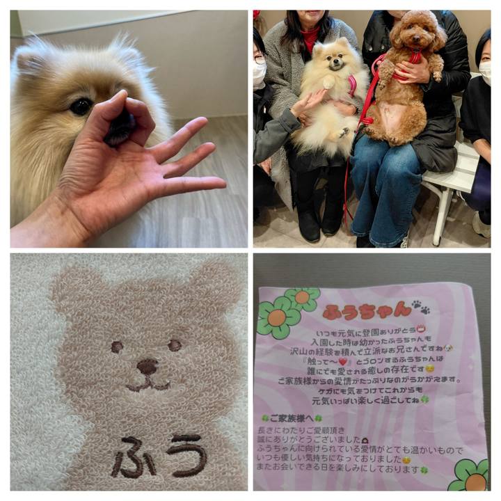 Fe5134ea 4971 4514 94ab e80cb2cef6a1 1773795433242