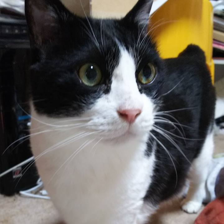 Fe51b274 1039 43e8 98f2 bc77260529d0 1553762007172