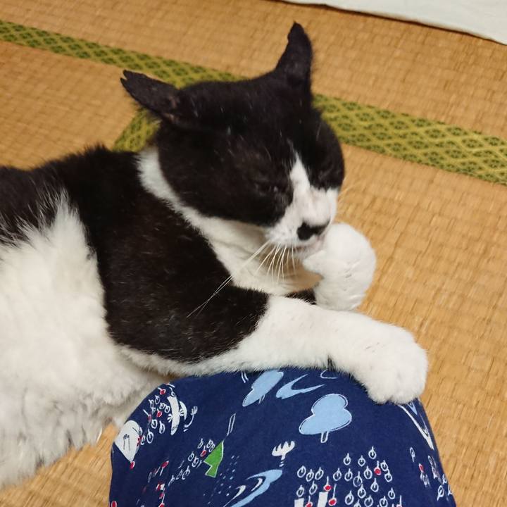 Fe51b7e4 fed4 4a02 b2e8 a29e86c414e4 1564457619386