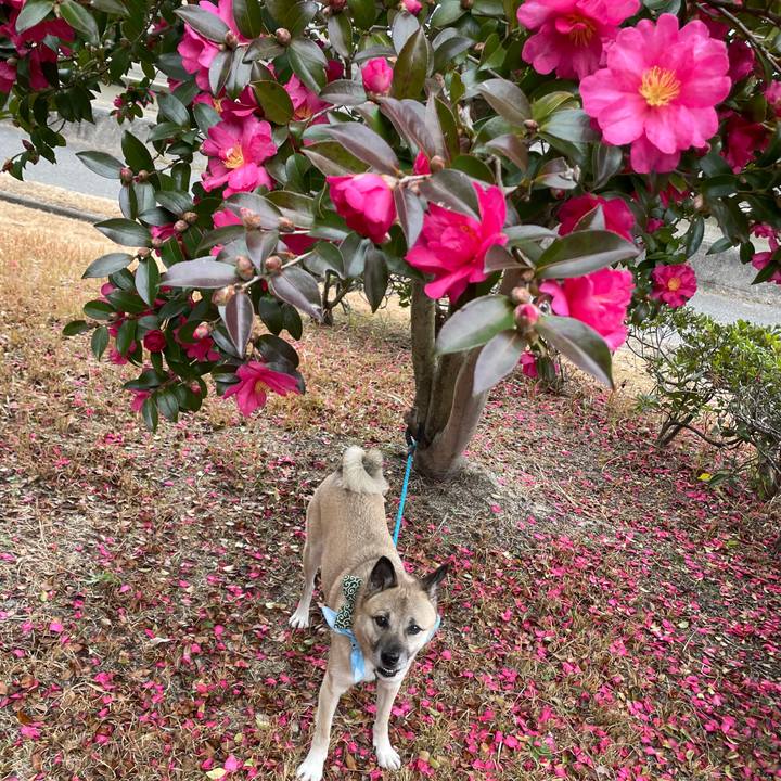 Fe51d767 8597 4ff2 a2e9 f07ef9fa7a97 1704282250493