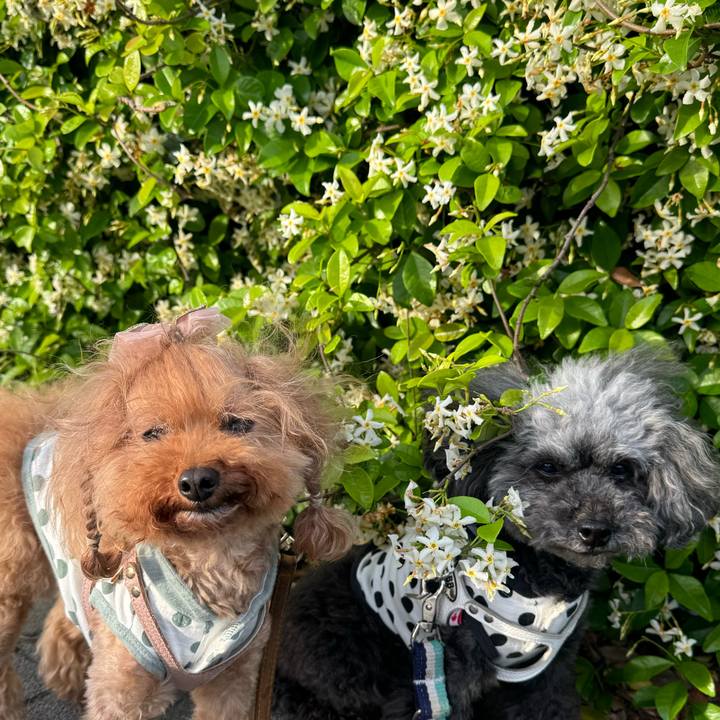 Fe51e7df 73b9 4d11 bf2e 30b679478686 1716335145462