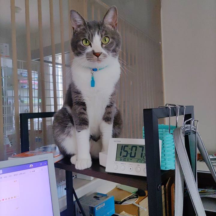 Fe52278e 9130 428b be66 4bb03dc00cd0 1656571874282