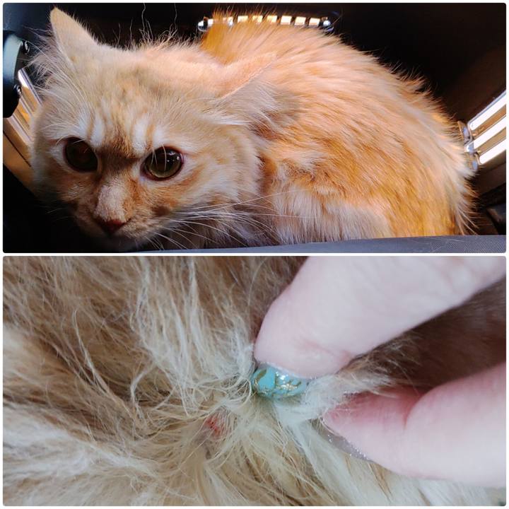 Fe522d77 f1b6 4449 b822 9e081b1e20db 1681102485242