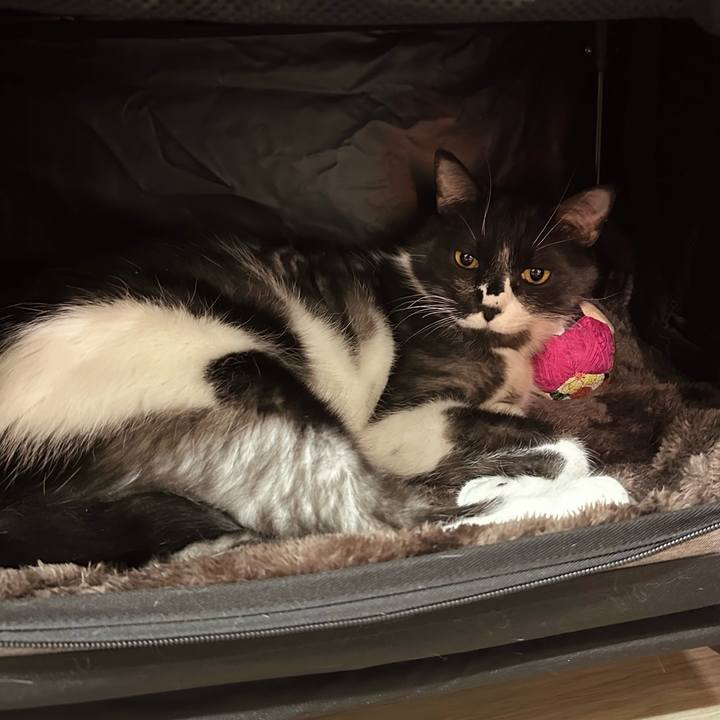 Fe528315 ab4f 48f2 b083 2821f1b8dfe0 1772717042453