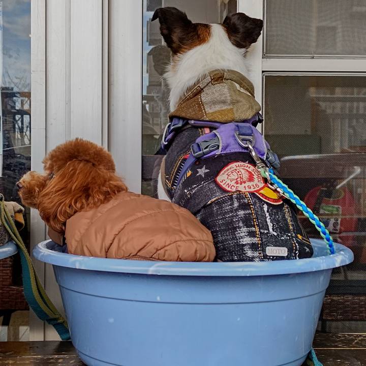 Fe528317 4385 4812 9d06 72c2ab27f0ff 1674112299780