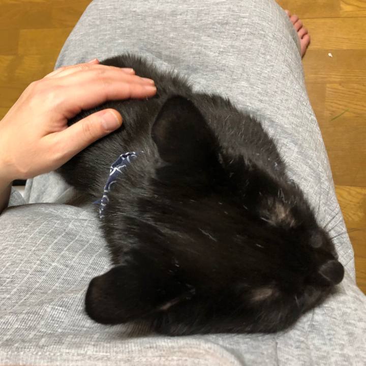 Fe52bf11 8f18 4b8b bec6 b968ba891658 1581414603487