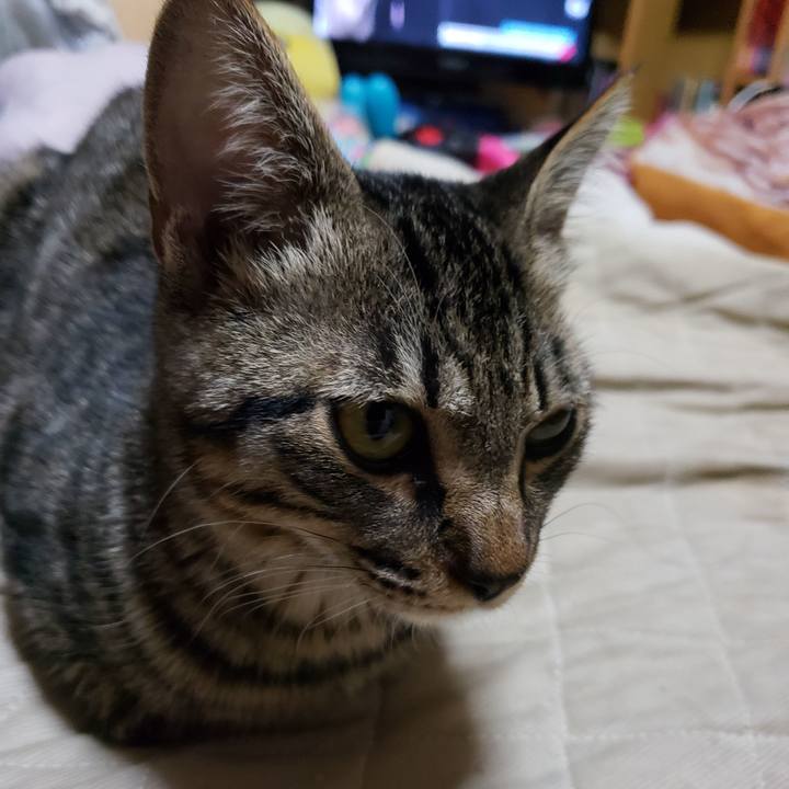 Fe531dd7 8ed1 4b4c 9f7b 6e0c1bca40d8 1542384710045