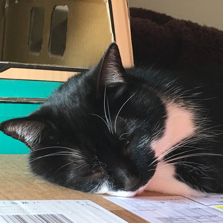 Fe5342e4 d1d2 4762 b672 be99a1c29c51 1522146026149