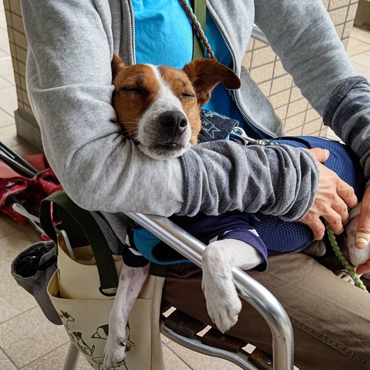 Fe53b82a 3722 4492 a779 e429603b17d4 1622200397304