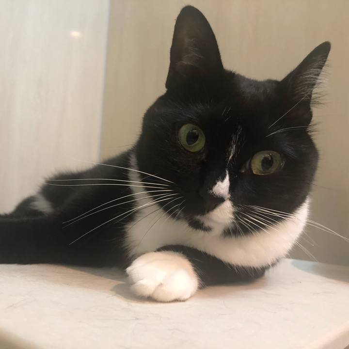 Fe53cb65 8a26 4a2a b2fd 06d161a752d1 1564525007376