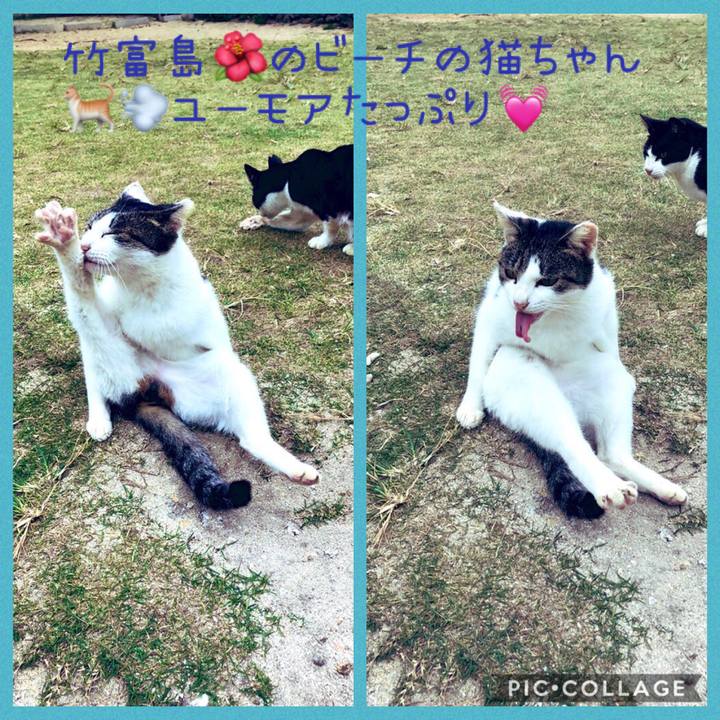 Fe53e40b 0e16 4b1a a336 64eee1934a7f 1575453976174