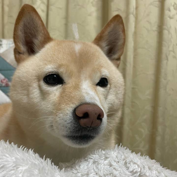 Fe53e888 b447 4229 a80a f8ebeffde207 1670065099229