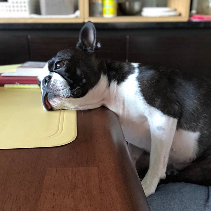 Fe53e8cd c110 4390 98cb 19a2df07b4cf 1560518731136