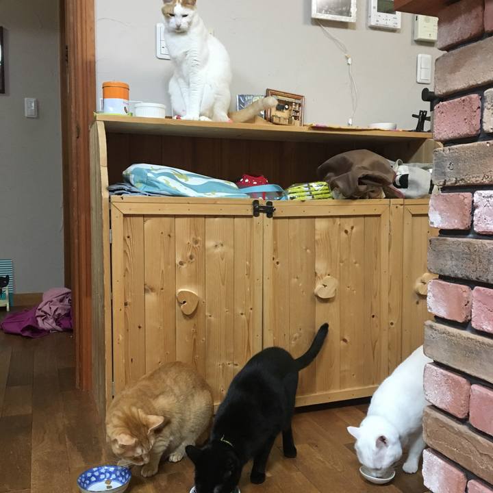 Fe5450bd fb15 4c41 819e 109a3e1c4675 1542713155598