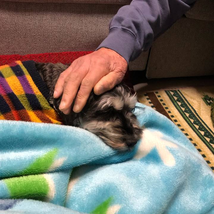 Fe545536 79f4 4172 9ed9 b4eb21848670 1643804408305