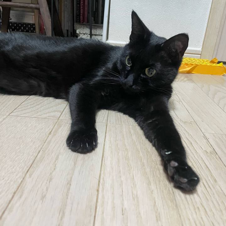 Fe546dbd a832 4189 90aa b96cf5e98845 1737636028233