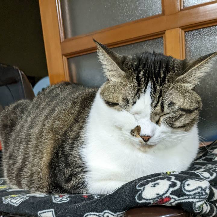 Fe54bc83 888e 44af a039 6705819cd994 1669632701122