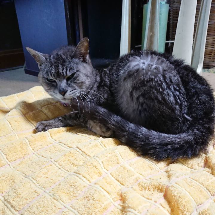 Fe54d868 1200 4847 a84b b39a69d65495 1594763574574